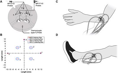 Multiple Laser Doppler Flowmetry Probes Increase the Reproducibility of Skin Blood Flow Measurements